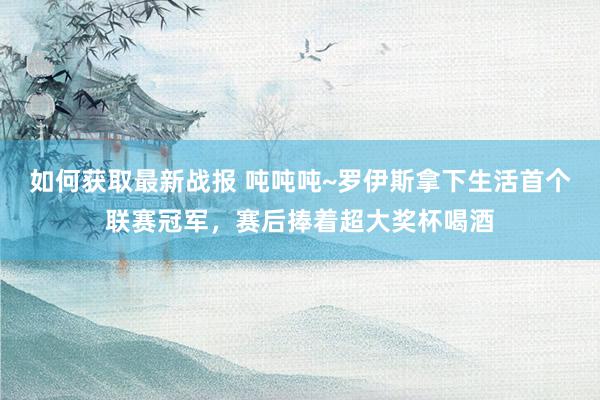 如何获取最新战报 吨吨吨~罗伊斯拿下生活首个联赛冠军，赛后捧着超大奖杯喝酒